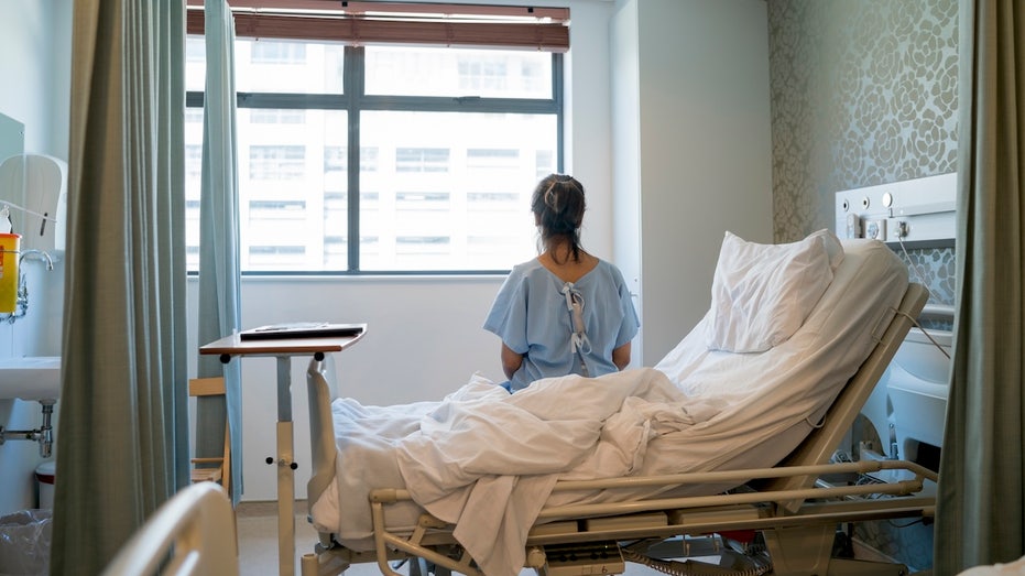 Hantavirus in the US: Where the rare, sometimes deadly disease has been found Education QLD