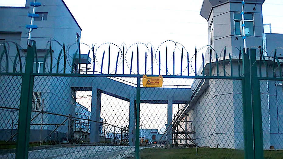 Mother recounts horrors of brutal Chinese detention camp where infant son died Education QLD